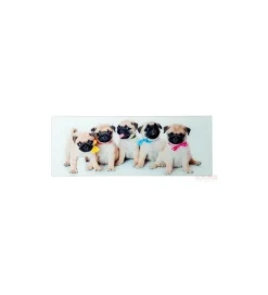 Obraz Girls&Boys 30 cm x 80 cm Assorted