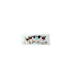 Obraz Girls&Boys 30 cm x 80 cm Assorted