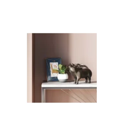 Skarbonka Rockstar Pig