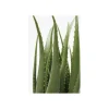 Sztuczna roślina ALOES 69 cm