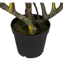 Sztuczna roślina COLOCASIA 185 cm