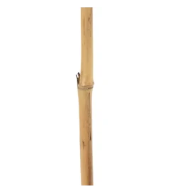 Sztuczna roślina FLOWERYTY 156 cm naturalny
