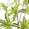 Sztuczna roślina DRACENA 210 cm