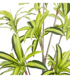 Sztuczna roślina DRACENA 210 cm