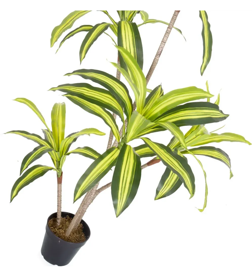 Sztuczna roślina DRACENA 150 cm