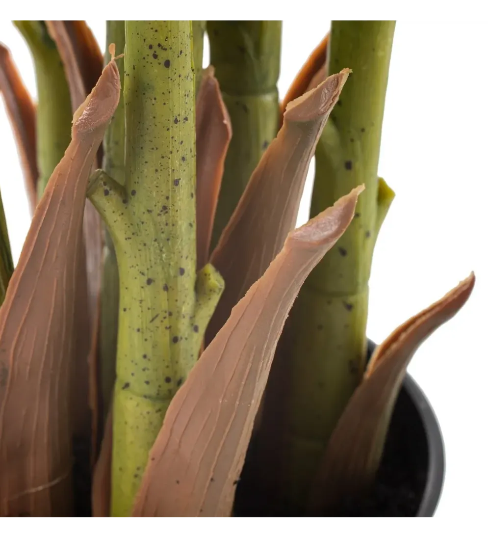 Sztuczna roślina PALMERA 170 cm