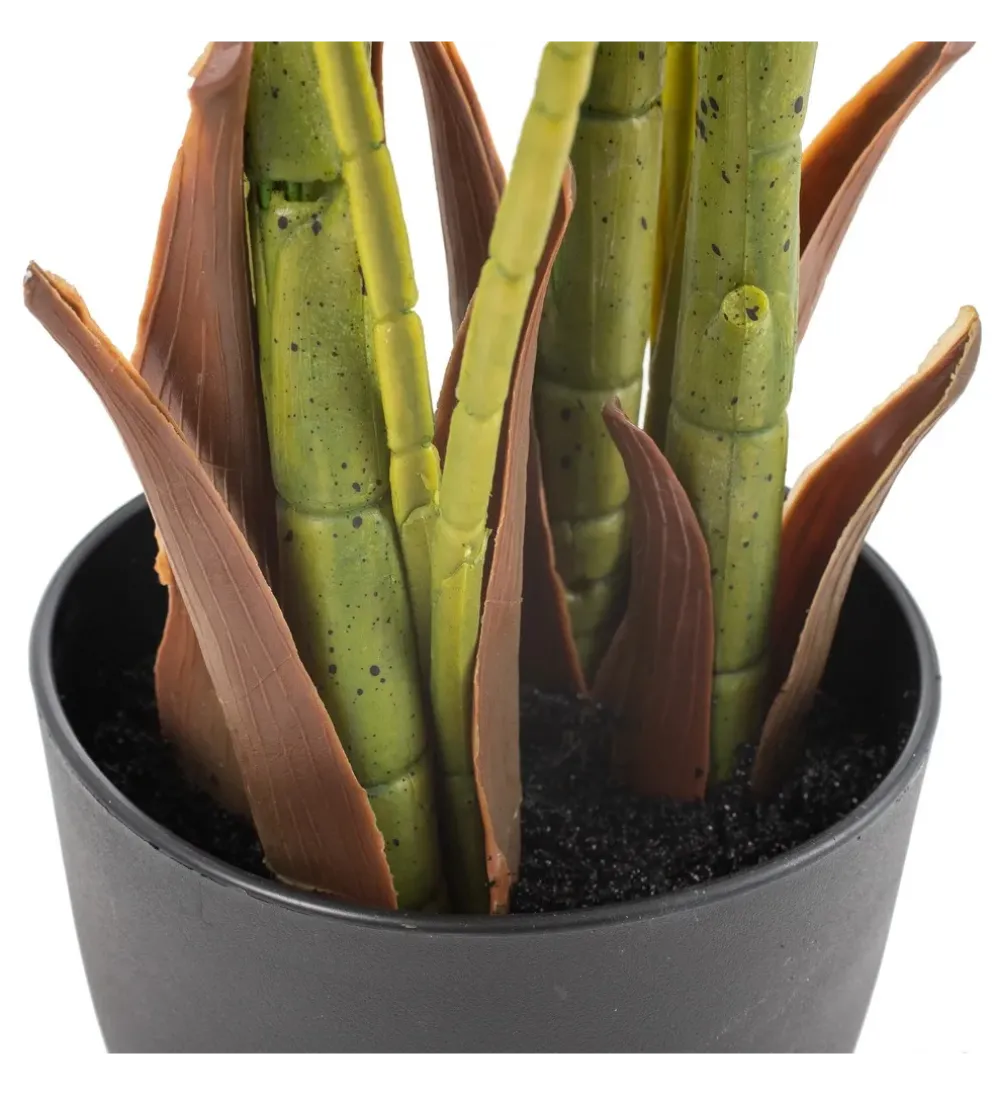 Sztuczna roślina PALMERA 170 cm