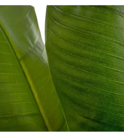 Sztuczny kwiat BANANA 190 CM zielony
