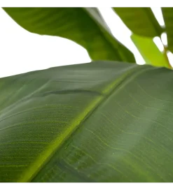 Sztuczny kwiat BANANA 190 CM  zielony